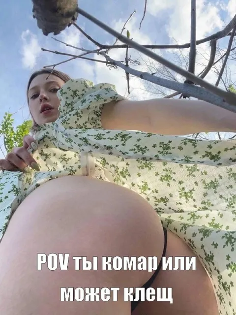 POV ты комар или клещ