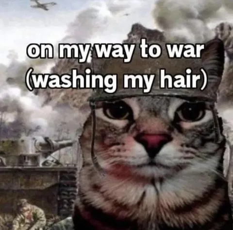 On My Way to War Cat