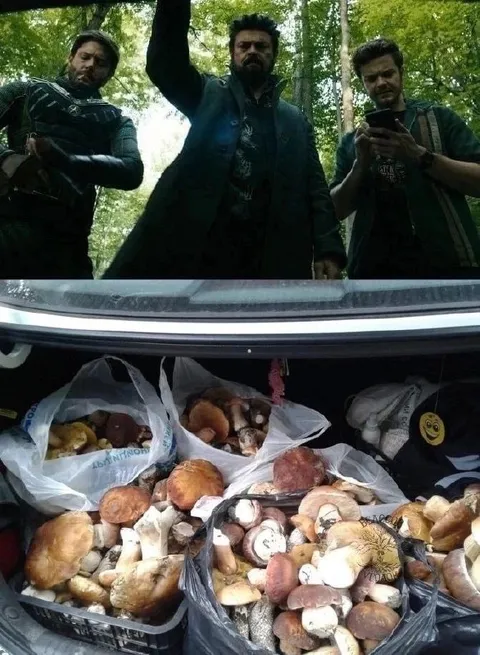 Когда открыл багажник после леса