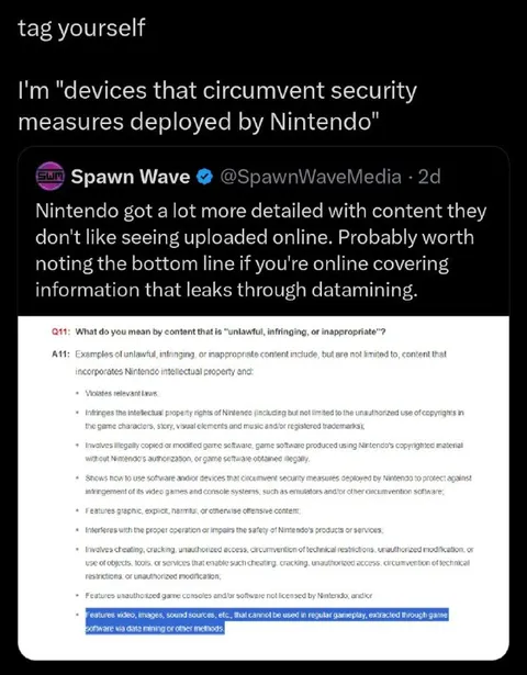 Nintendo circumvention devices