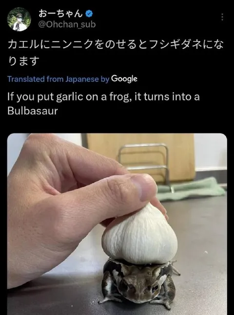 カエルがフシギダネになる