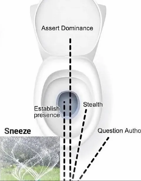 Sneeze Assert Dominance Diagram