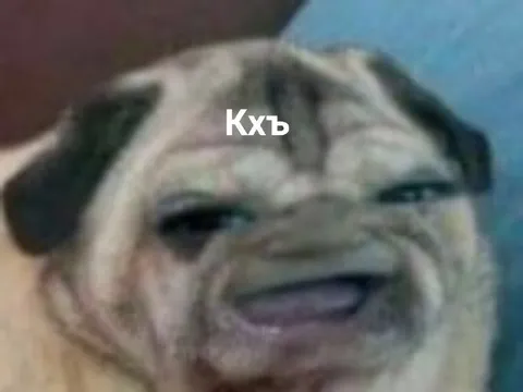 Смеющийся мопс с «Кхъ»