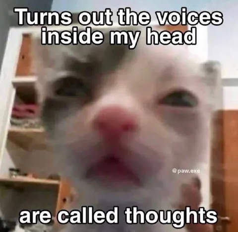 Voices Inside My Head Are Thoughts