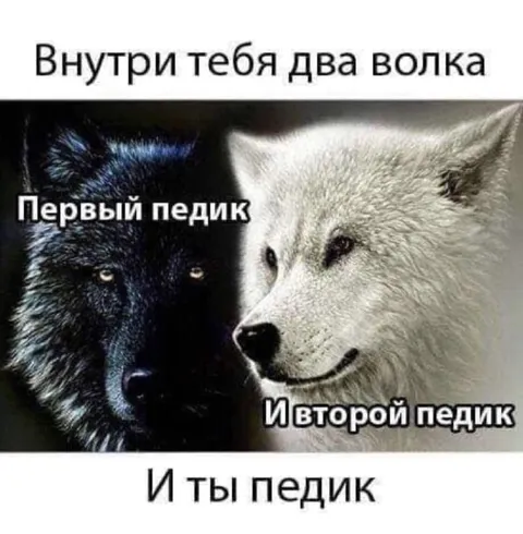Внутри тебя два волка