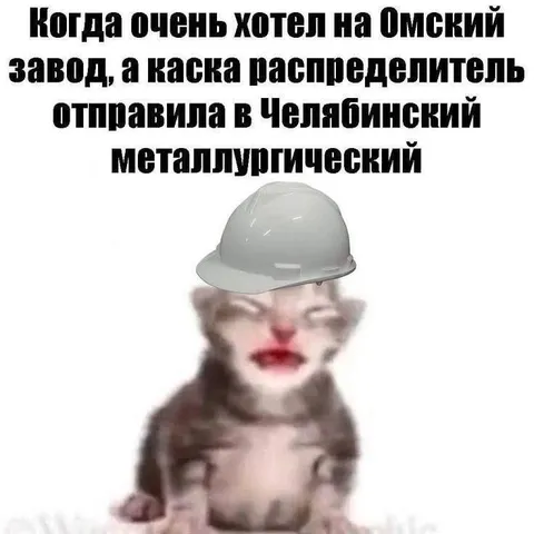 Кот отправлен на Челябинский металлургический