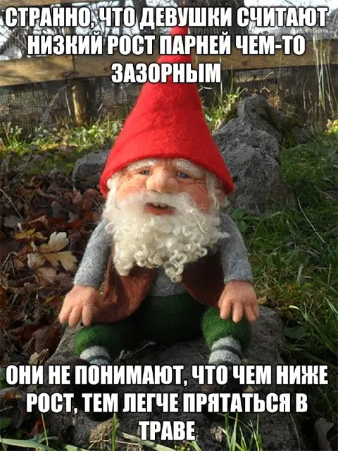 Низкий рост гнома