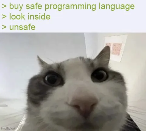 Buy Safe Programming Language