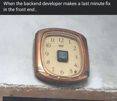Backend Developer Fixes Frontend