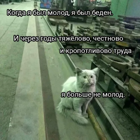 Когда больше не молод