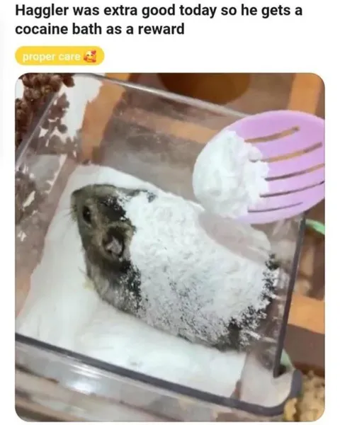 Haggler Gets a Cocaine Bath
