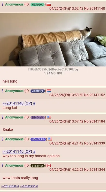 Long Cat Imageboard Thread
