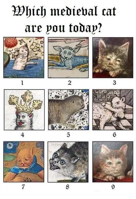 Which Medieval Cat Are You Today?