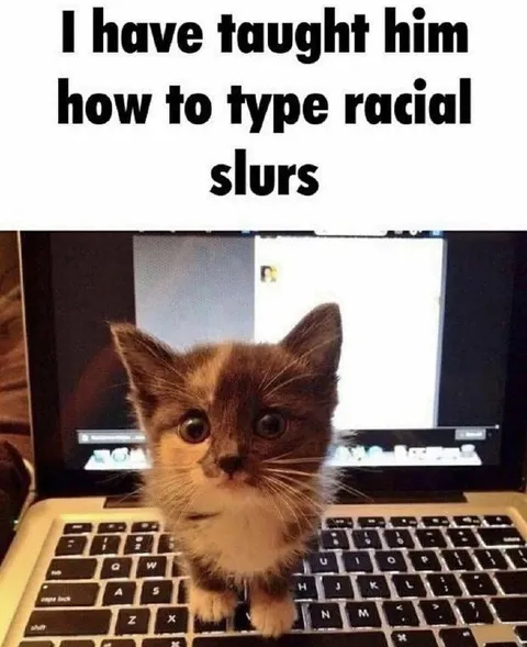 Kitten Learns to Type Slurs