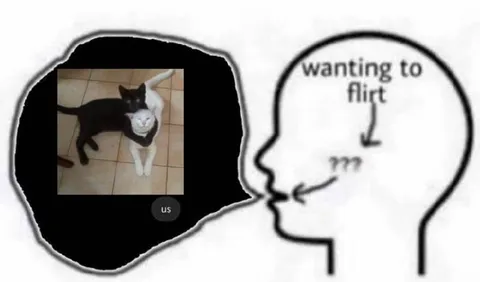 Wanting to Flirt, Sending Cats