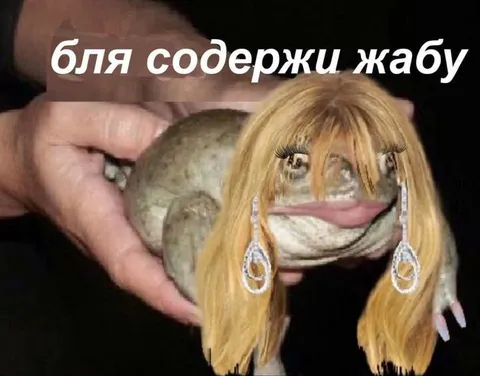Содержи жабу