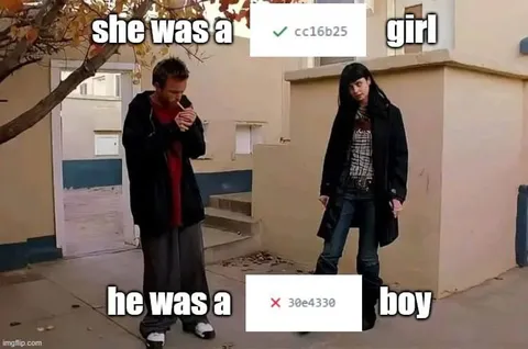 She Was a Girl, He Was a Boy