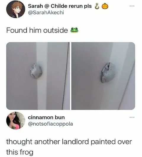 Landlord Painted Over Frog