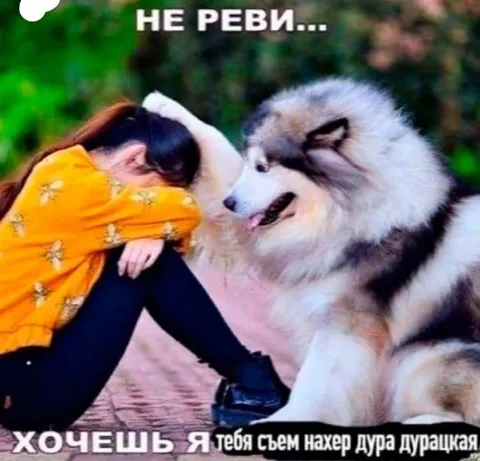 Хочешь, я тебя съем?