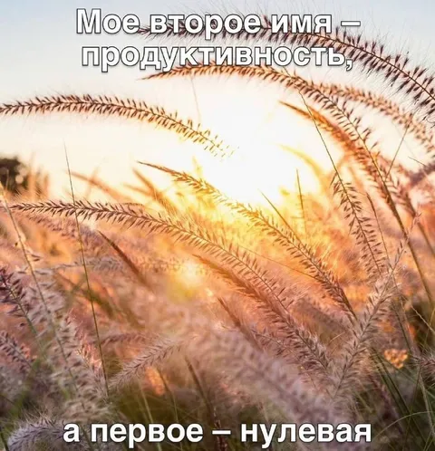 Второе имя — продуктивность