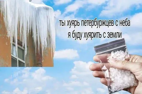 Петербуржцев с неба и земли