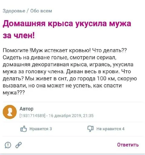 Домашняя крыса укусила мужа