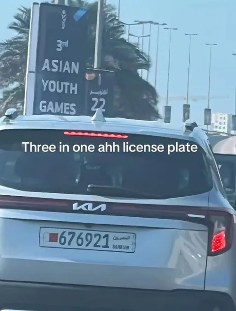 Three-In-One License Plate