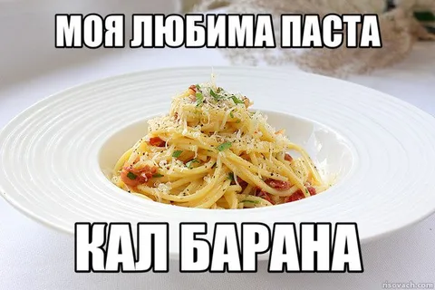 Моя любимая паста — кал барана