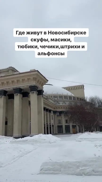 Где живут скуфы в Новосибирске