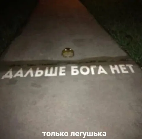 Дальше бога нет, только лягушка