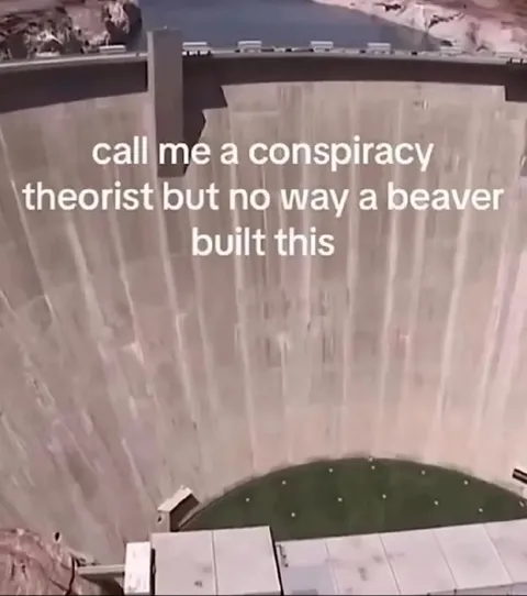 Beaver Built the Dam