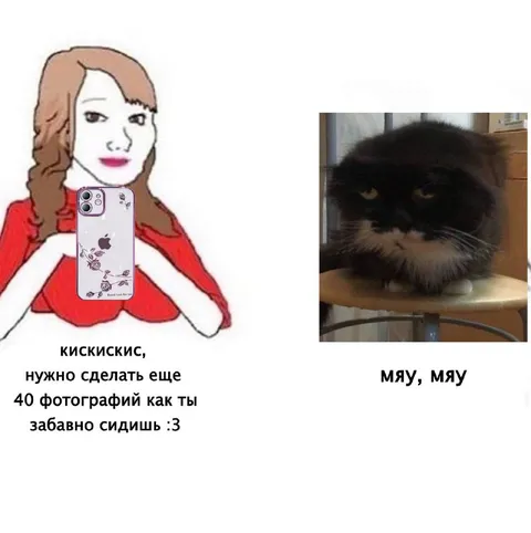 Котик устал фотографироваться