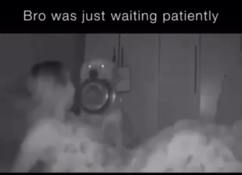 Dog Waiting Patiently in Bed