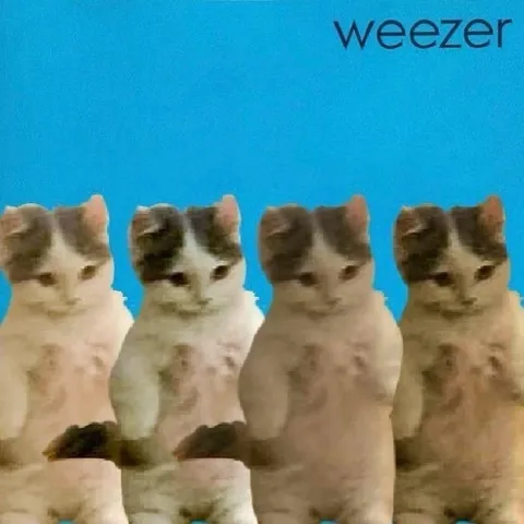 Weezer Cat Dance