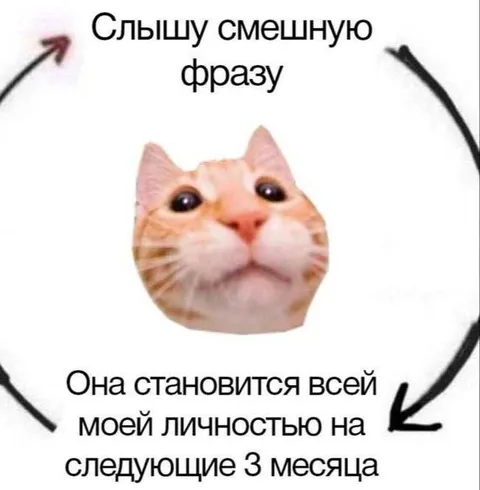 Смешная фраза на три месяца