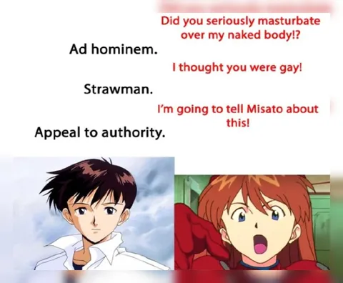 Evangelion Argument Fallacies