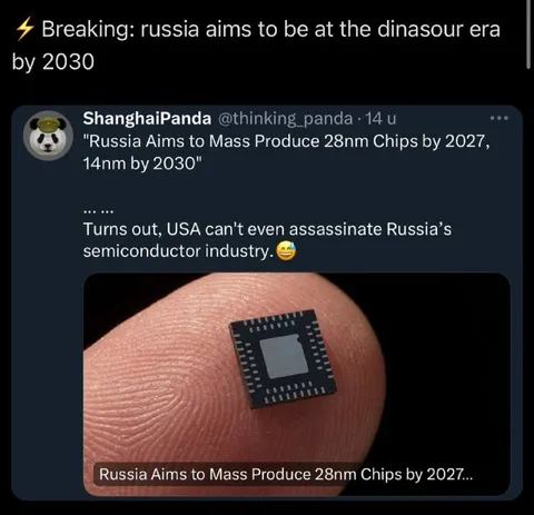 Russia Mass Produces Tiny Chips