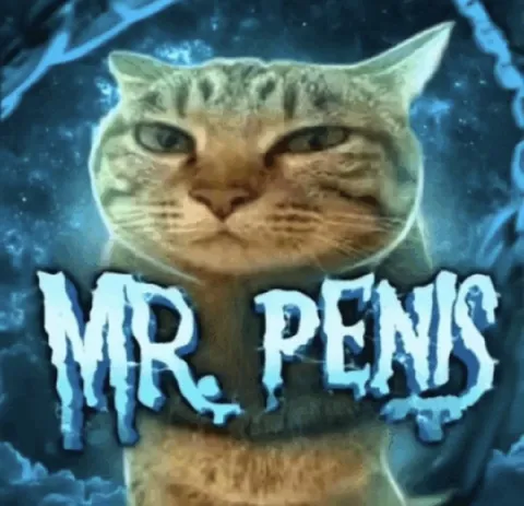 Mr. Pens Cat