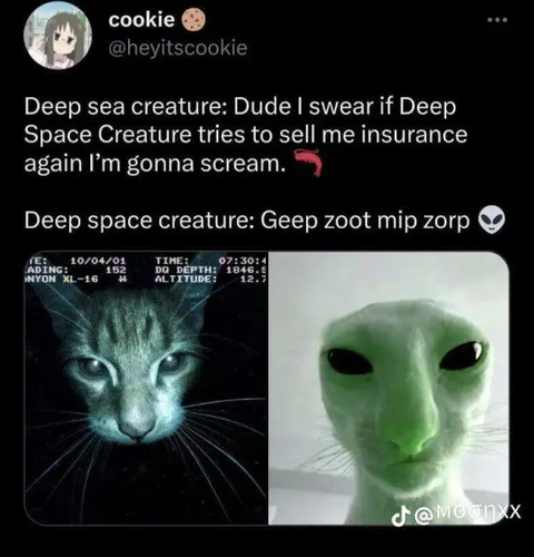 Deep Sea Creature Sells Insurance