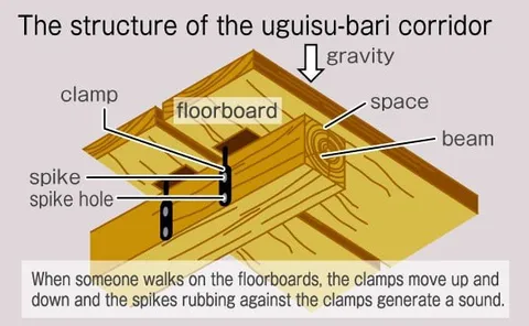 The Structure of the Uguisu-Bari Corridor