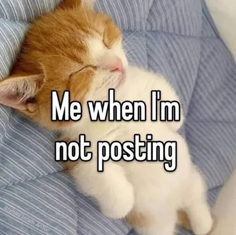 Me When I'm Not Posting Sleeping Cat