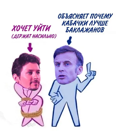Кабачки лучше баклажанов