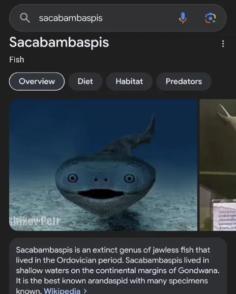 Sacabambaspis Fish Reaction