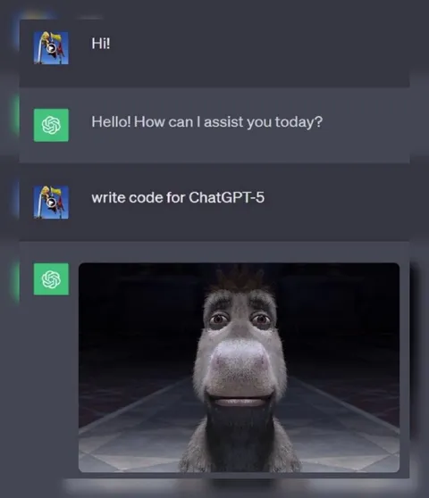 Write Code for ChatGPT-5