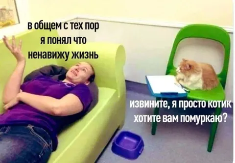 Я просто котик