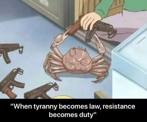 When Tyranny Becomes Law