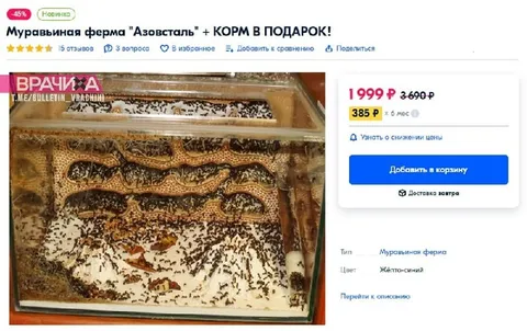 Муравьиная ферма «Азовсталь»