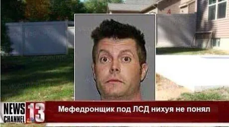 Медведронщик под ЛСД ничего не понял