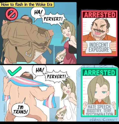 How to Flash in the Woke Era