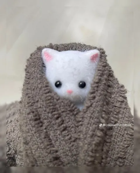 Котик уютно укутался в плед